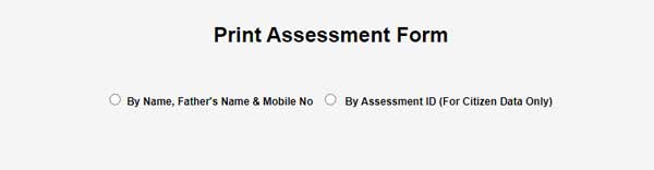 Print Assessment Form