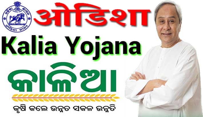 Kalia Scheme | Kalia Yojana | kalia.odisha.gov.in| Online Registration | Documents | Eligibility | Beneficiary List