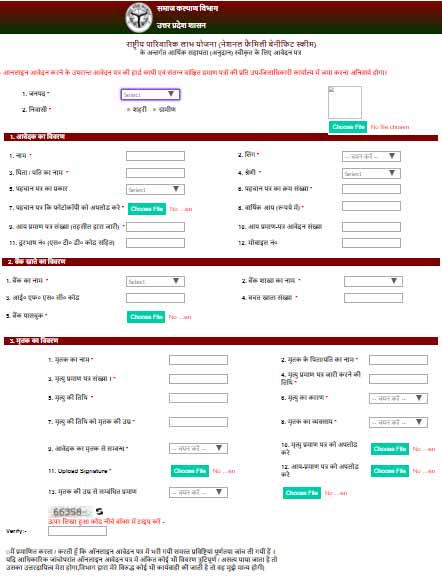 rashtriya parivarik labh yojana form download pdf